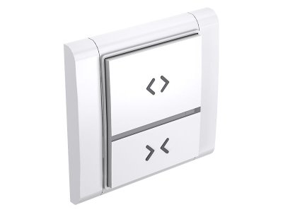 2-button programmable radio switch for doors and shutters